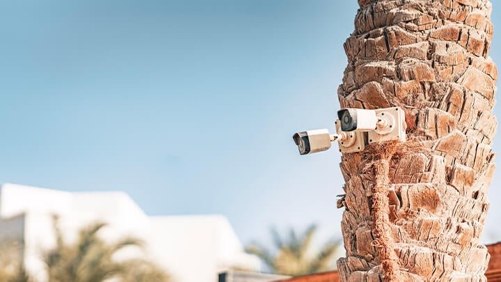 Security camera at a tropical resort